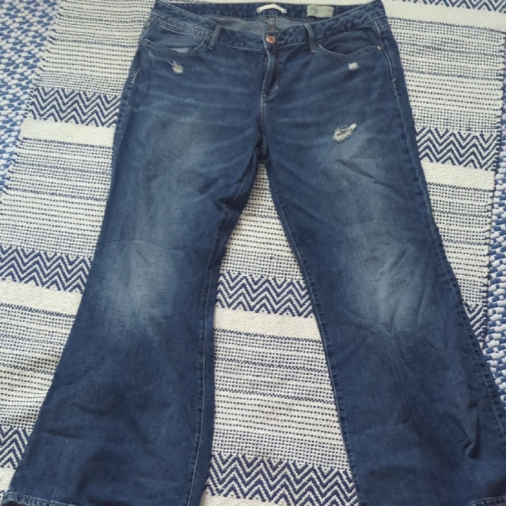 Classic Blue Distressed Women Jeans Gap Jeans